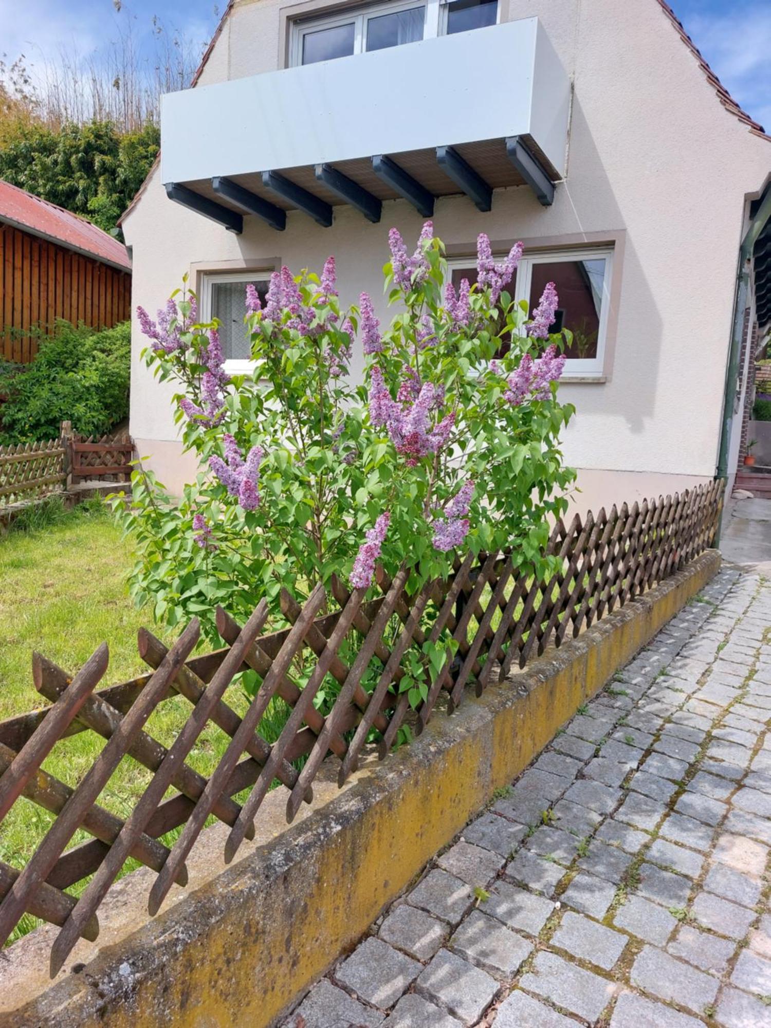 Sehr Beliebt! Ferienhaus Zur Donau Herbertingen Ngoại thất bức ảnh